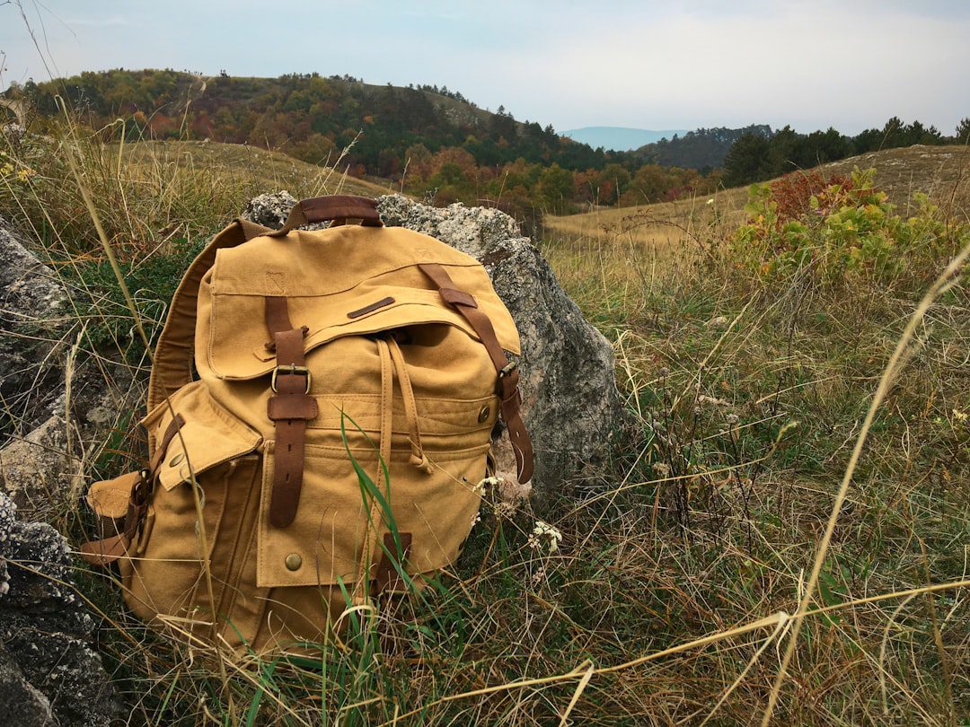 Various types of canvas backpacks on display