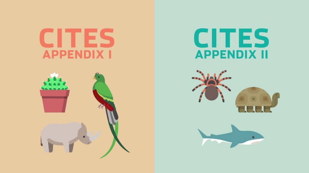Annexes de la CITES