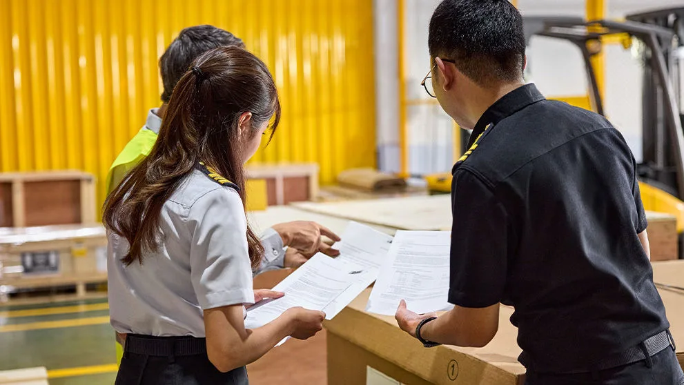 Who Pays DHL Customs Duties