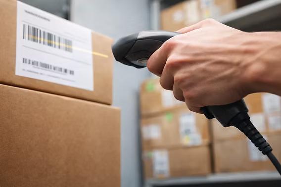 Carton Processing