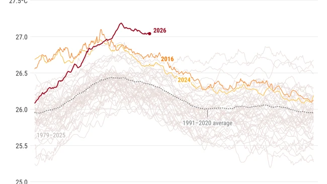 Europe has become the fastest warming continent with heatwaves pushing daytime temperatures past 40°C