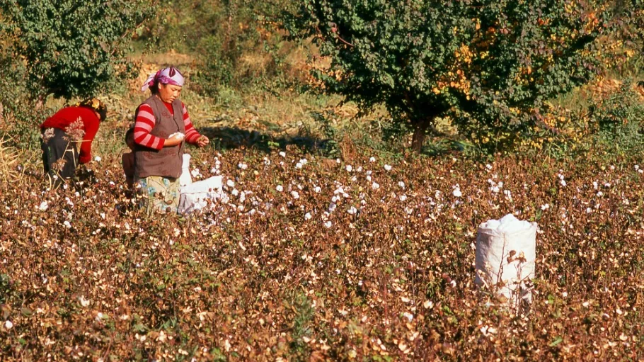 Uyghur Forced Labor Prevention Act UFLPA